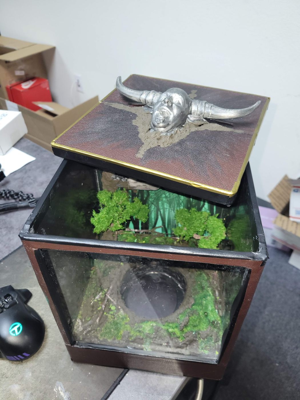 Case and lid together